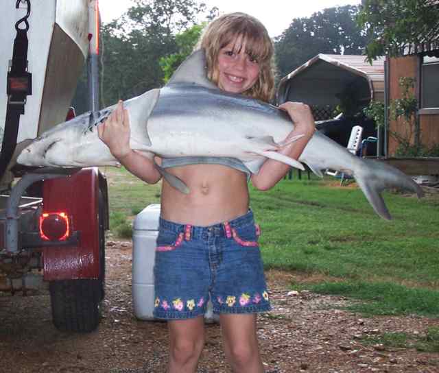 Taylor Beckam Port O'Connor jettiesshark