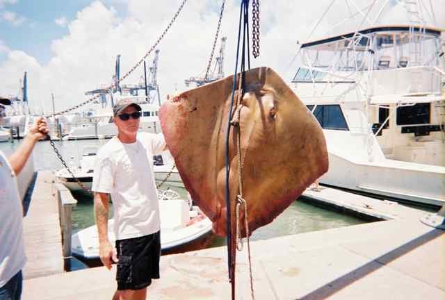 Jimmy Anderson 






190 lb stingray