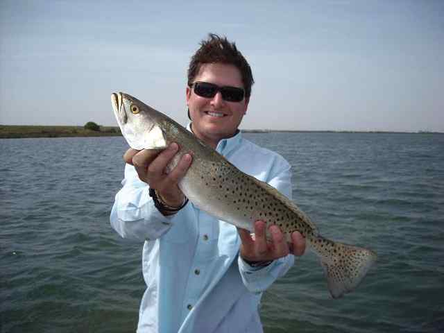 Nick Kohleffel Port Aransastrout