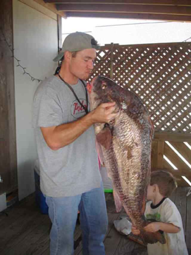 Steve Harris Port O'Connor50lb drum