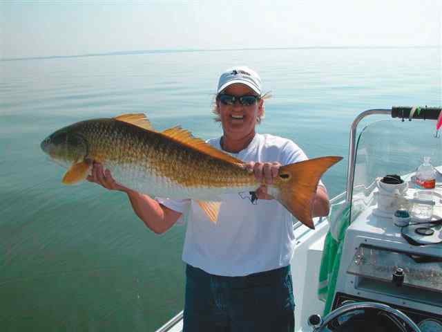 Vicki Sorensen Trinity Baybull red