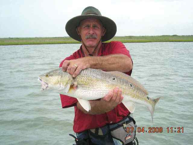 Charles Hill Rockport
  31&quot; redfish