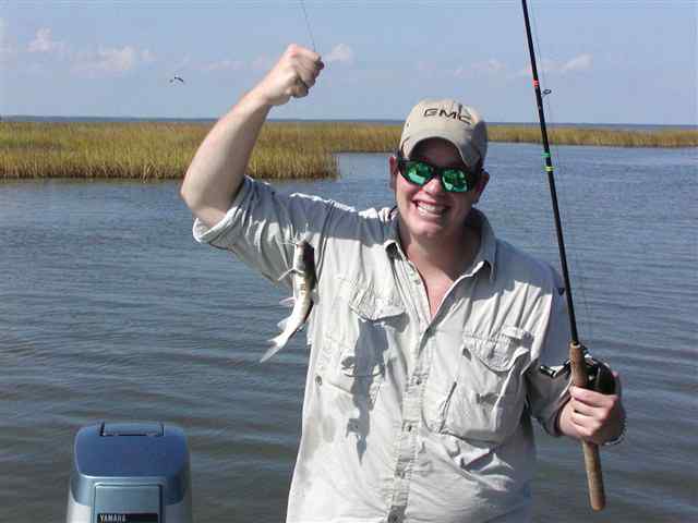 Will Steubing Rockporthardhead