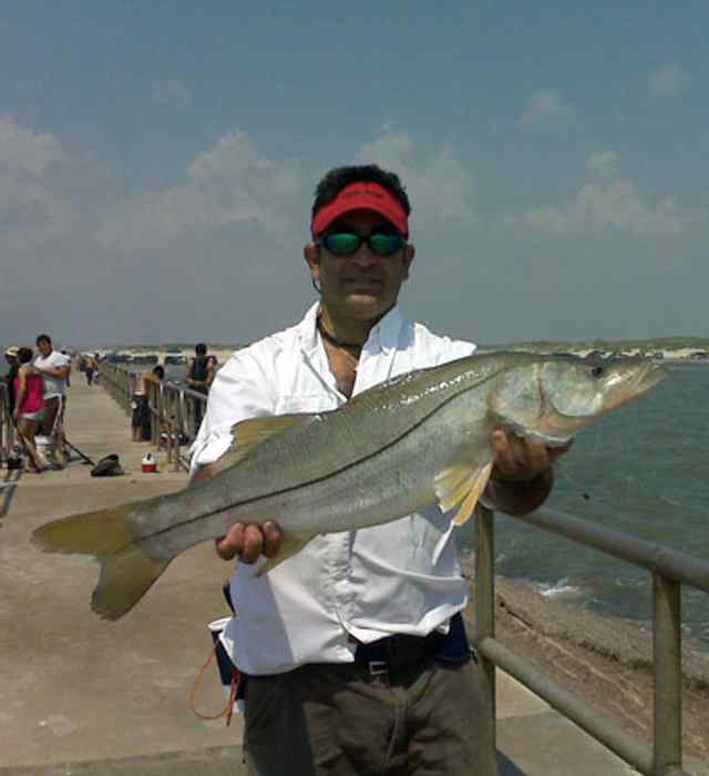 Arthur Toscano North Packery Jetty32" snook CPR