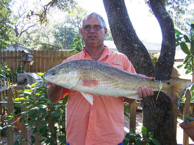 Gary Damborsky San Antonio Bay33" 17lb redfish