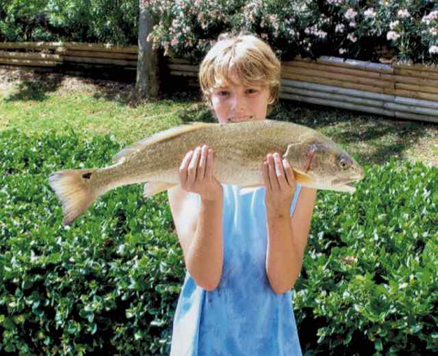 Cody Garrett West Galveston Bay27.5&quot; redfish