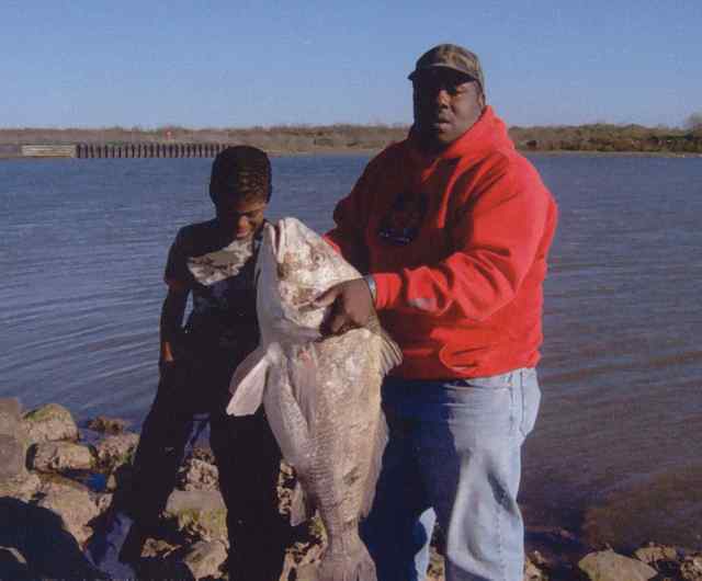 Ray Moore black drum, CPR
