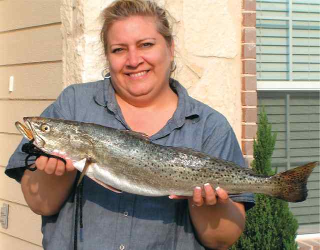 Teri Cardenas JFK Cosway26&quot; speck