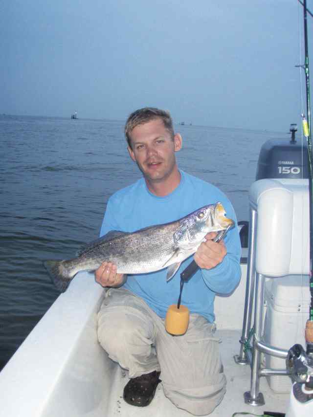 Chris Foster Galveston Bay
  7lb trout