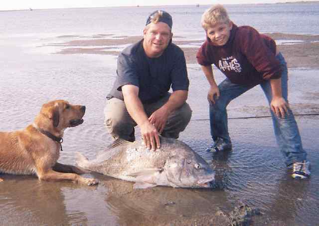 JC Weitinger Port O'Connorblack drum