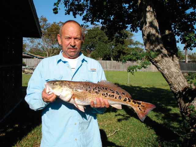 Leonard Hester Copano Bay red with 150 spots, caught on a Bass Assassin