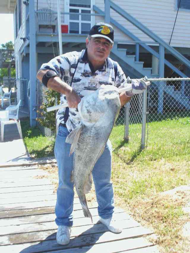 Robert Grenet Rockport
  43&quot; 50lb drum