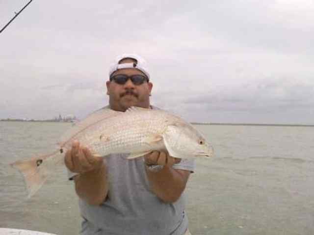 Victor Licon Nueces Bay - 26&quot; red