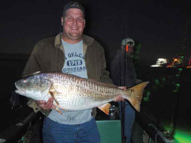 Bradley Bues POC big jetties42&quot; bull red 