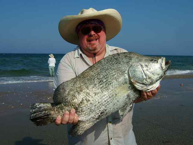 Mike Buti P.I.N.S.27&quot; tripletail