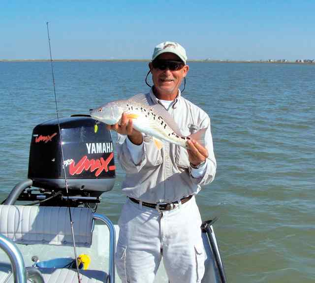 Cliff Wilkins East Bay multi spotted red