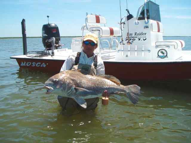 Kaylin Winther Wading in East Baydrum