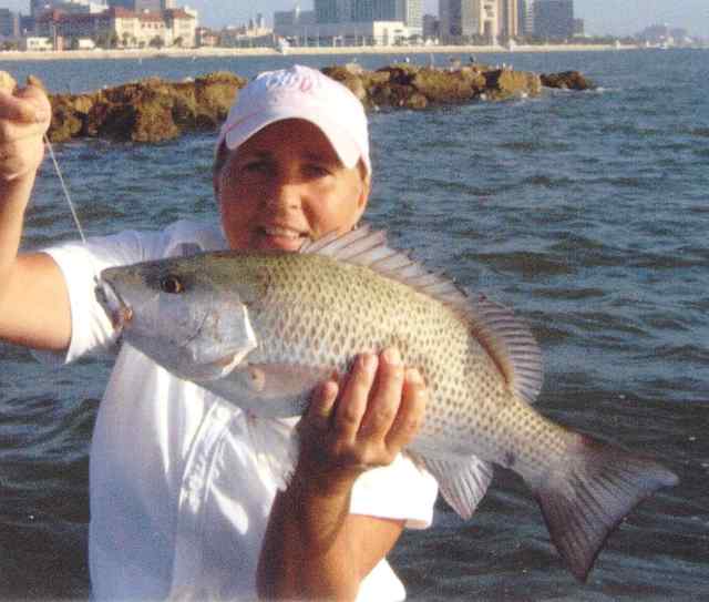 Rhonda Sky-Eagle 20 mangrove snapper