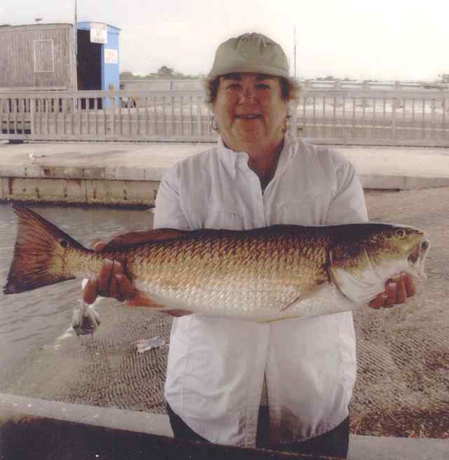 Shirley Stadler St. Charles Bay 25.5&quot; 9lb redfish
