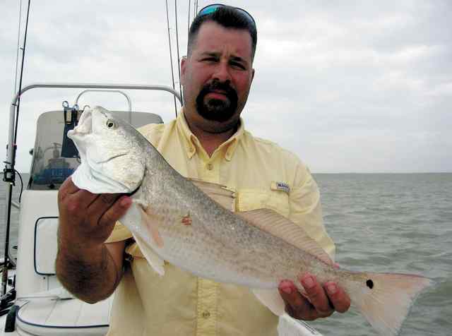 Tommy Olson Port Mansfield24&quot; redfish