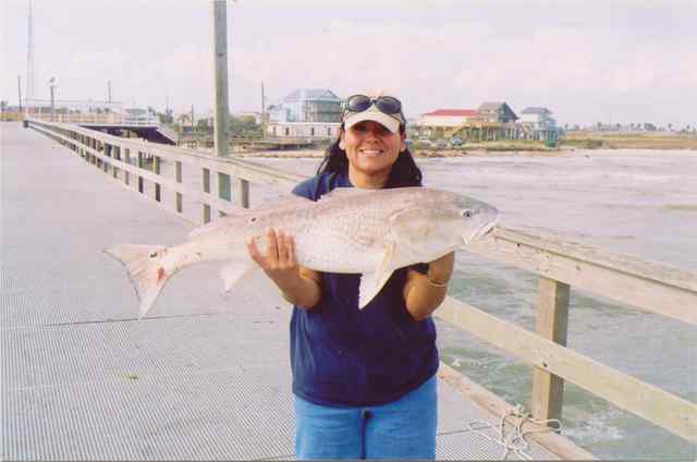 Amanda Sanchez San Luis Pass pier38&quot; bull
