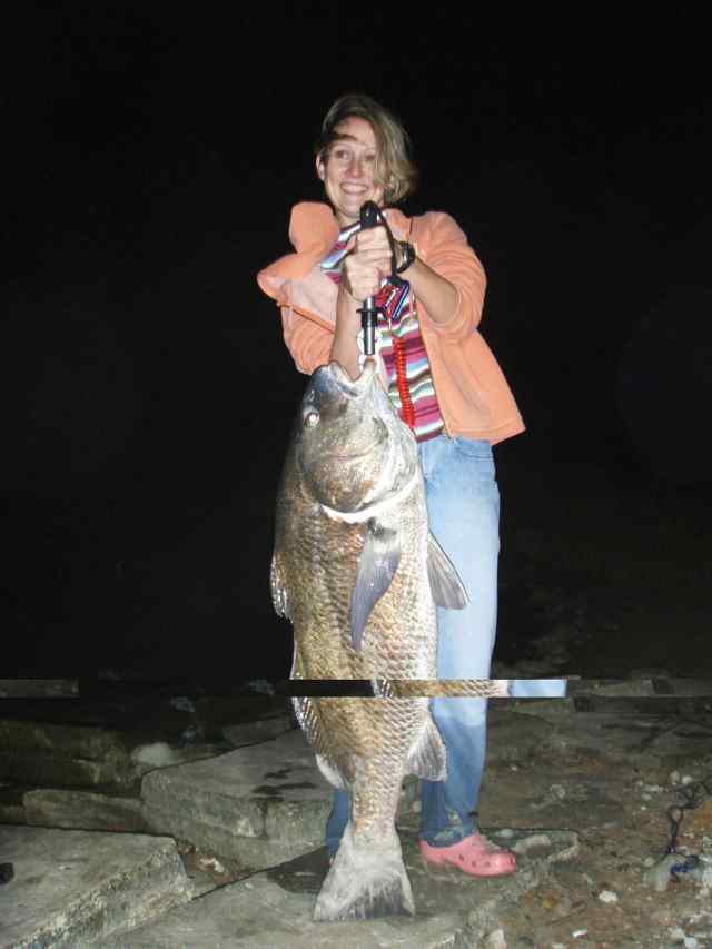 Angie Mathews 40&quot; black drum, CPR after a 2 1/2 hour fight