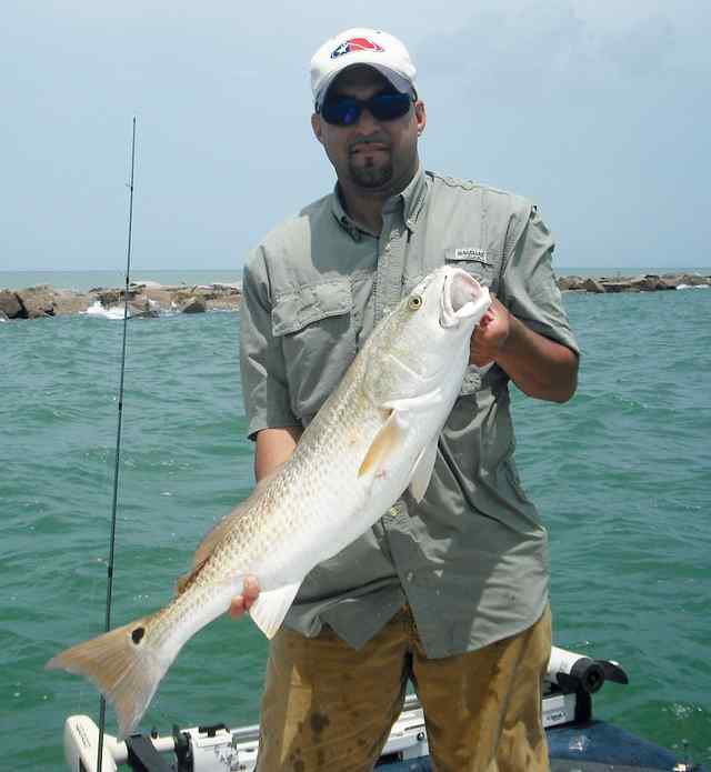 Sergio Canales Galveston north jetty
32" redfish