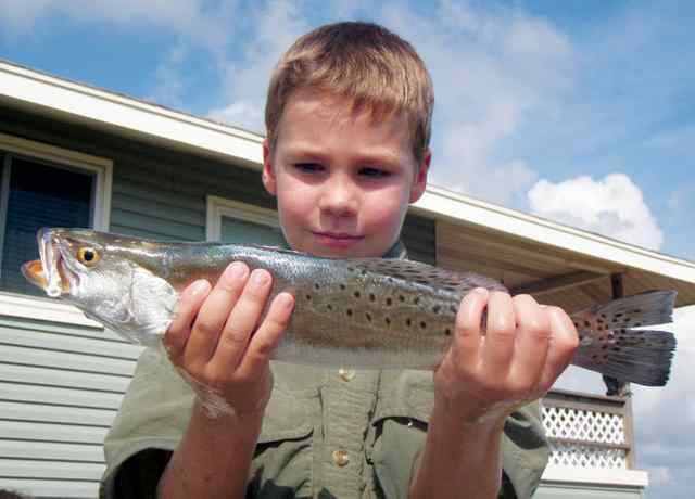 Joe Krejci San Luis Passfirst keeper trout!