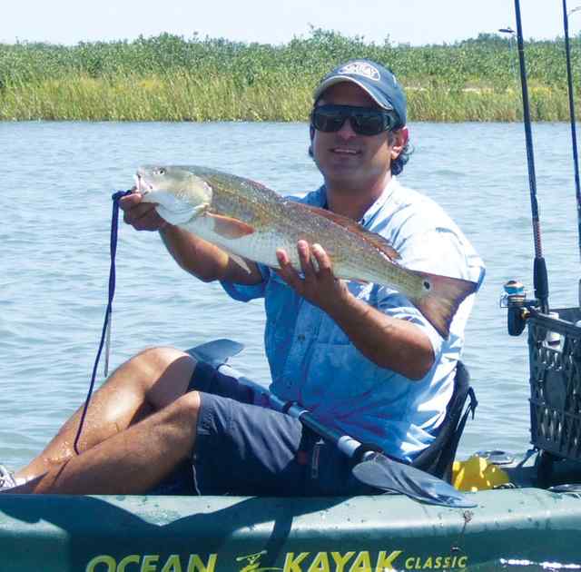Michael Lazo Shamrock Cove26&quot; redfish