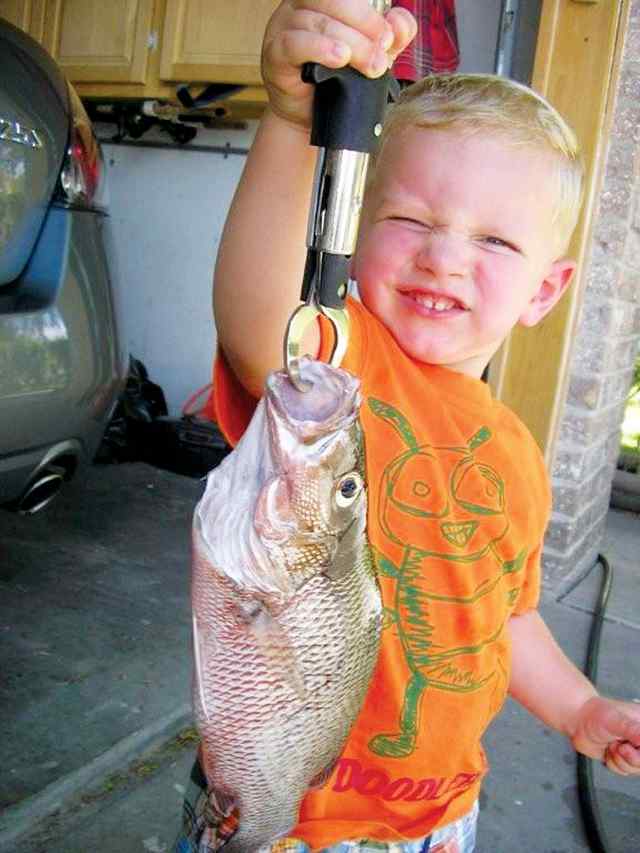 Michael Rodriquez T-Head Corpus Christimangrove snapper
