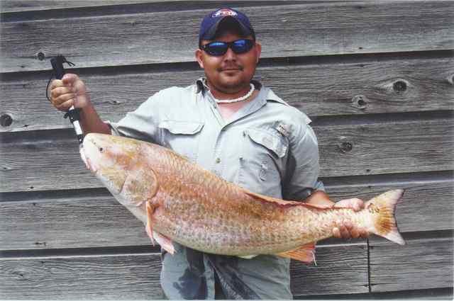 Eric Barrier Port O'Connor jettiestagged bull red