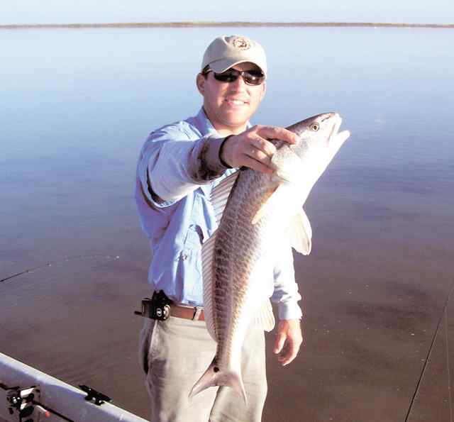 Cooper Cogdell 28&quot; redfish CPR