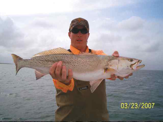 Dennis Gau Port Mansfield29&quot; trout