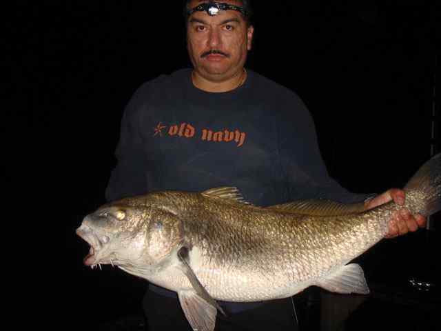 Eric Orozco Cosway Pier37&quot; drum CPR