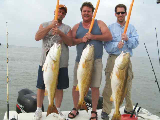 Kevin Cooper One was 45 inches long and none were under 40 inches. All released to fight another day.