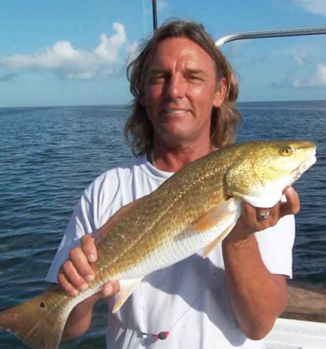 Robbin Nelson 
  SPIredfish