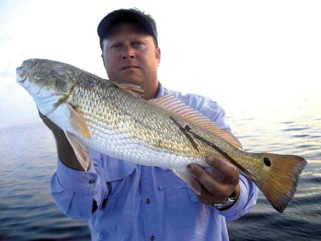 Robert Bagwell Arroyo Cityredfish