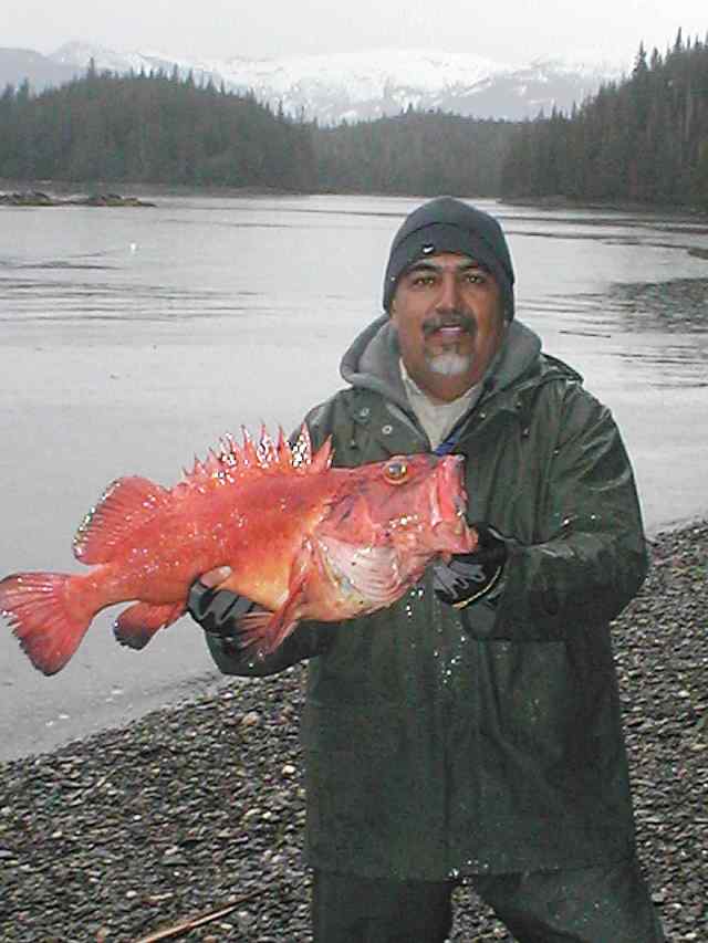 Robert Ortega Ketchikan, Alaska
  13 lb yellow eye (snapper family)