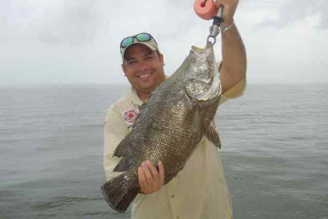 Ruben Delgadillo Matagordafirst tripletail!
