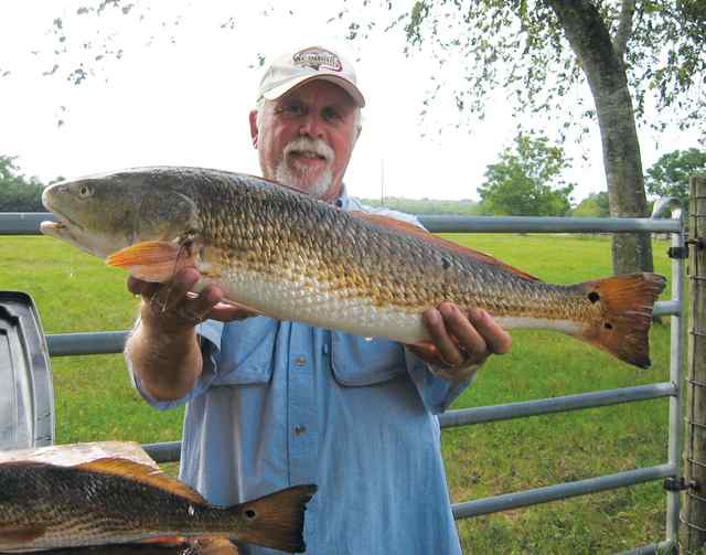 Rob Chapman Port O'Connor
27" redfish