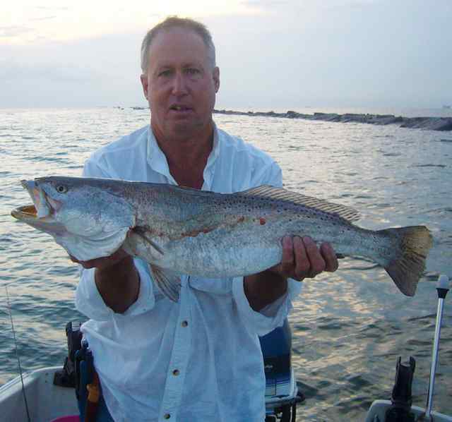 Mike Howard 30&quot; trout