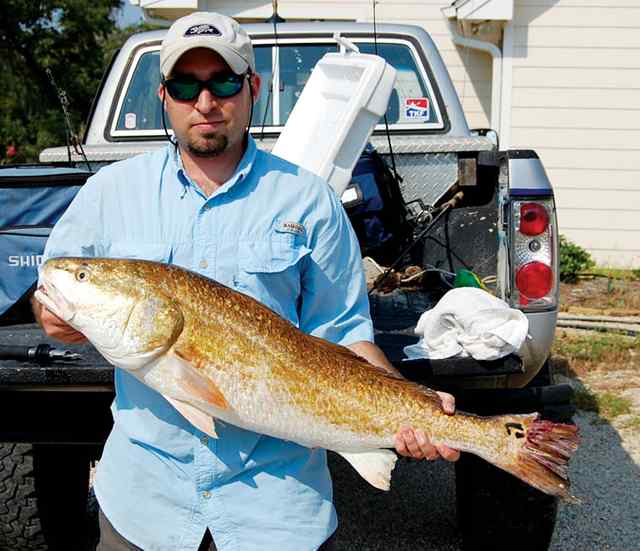 Ryan Jones Mitchell's Cut39&quot; bull red