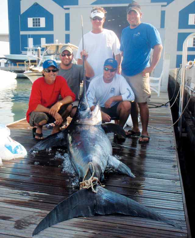 A Lopez, S Babich, J Stewart, D Miers, F Padua Texas RecordBroadbill Swordfish