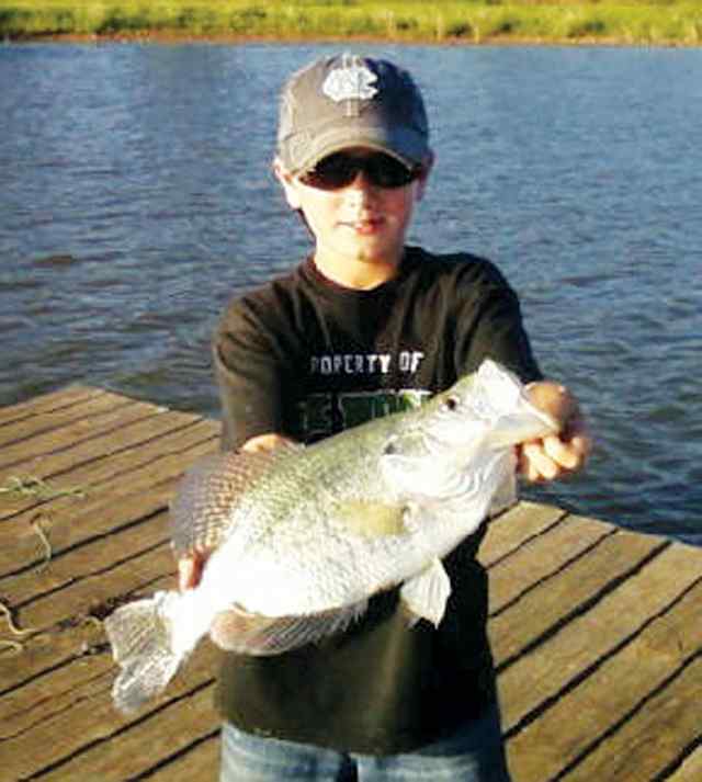 Mitch Moore 18.75&quot; white crappie