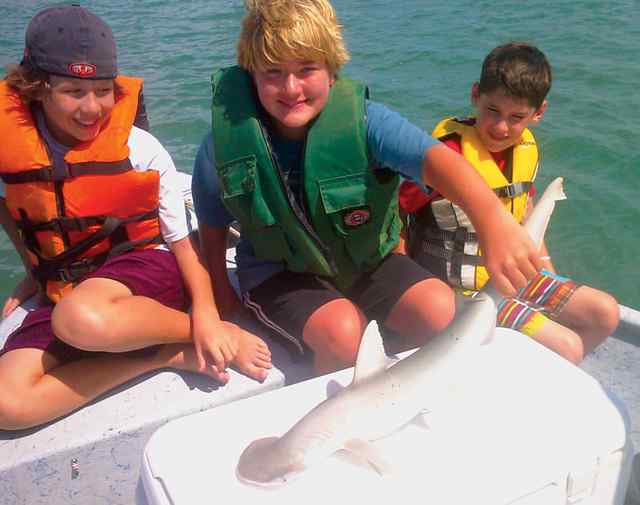 Travis Orr, Hue Galloway, Braden Port Aransas30&quot; bonnet head shark