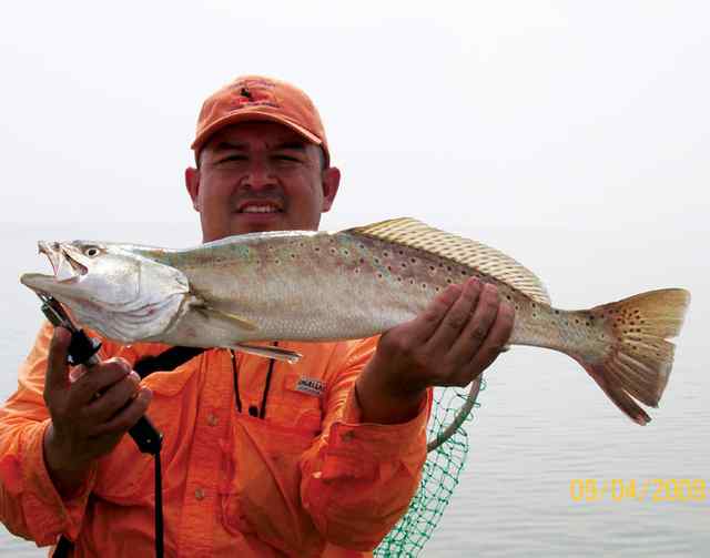 Joe Perez Arroyo City26.5&quot; trout