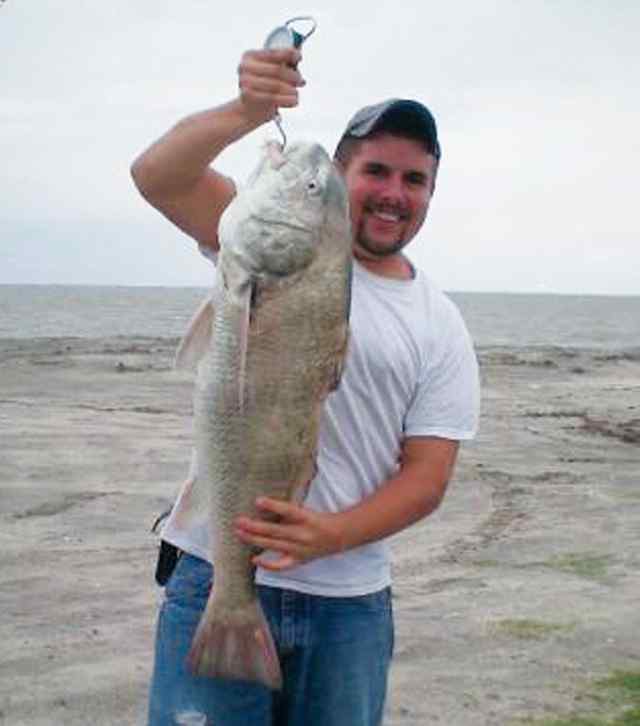 Cody Peterson Austwell32&quot; &amp; 20lb drum