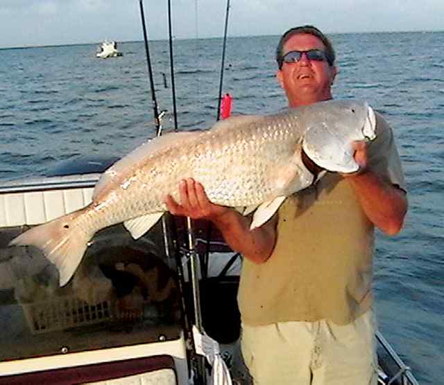 Kim Pruett Port O'Connorjack crevalle