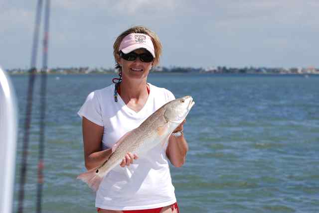 Lisa Cheney Rockport
24" redfish