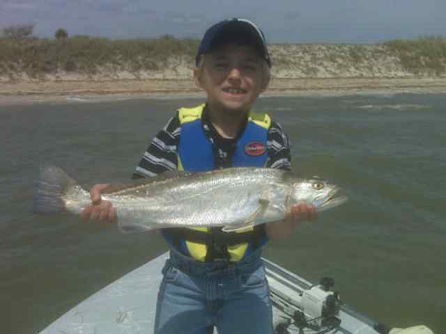 Matthew Peterson Baffin Bay
trout
